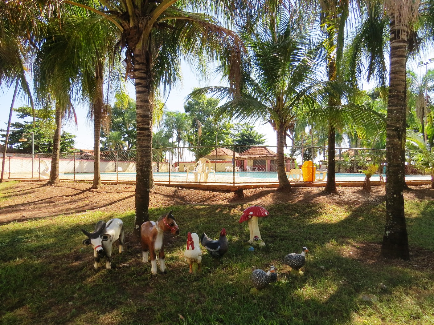 Aproveite o Clube dos Bancários e desfrute de agradáveis momentos de lazer!  - SINDICATO DOS BANCÁRIOS DE CATANDUVA E REGIÃO